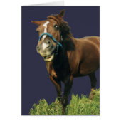 Smiling Horse (Front)