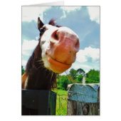 Smiling Horse (Front)