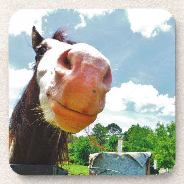Smiling Horse Beverage Coaster (Front)