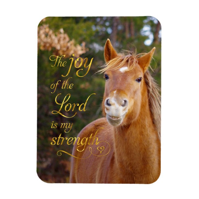 Smiling Horse Bible Quote Photo Magnet (Vertical)