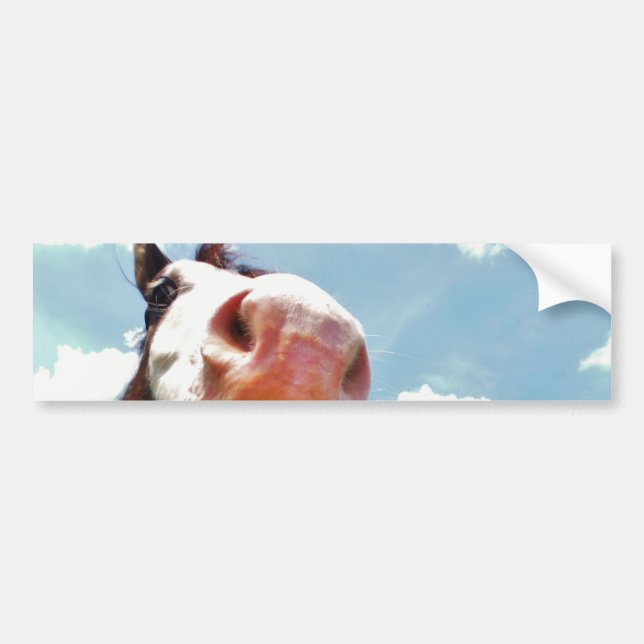 Smiling Horse Bumper Sticker (Front)
