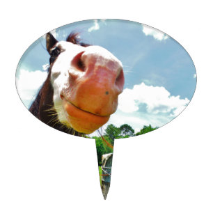 Smiling Horse Cake Topper