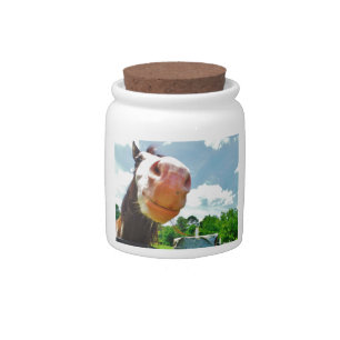 Smiling Horse Candy Jar