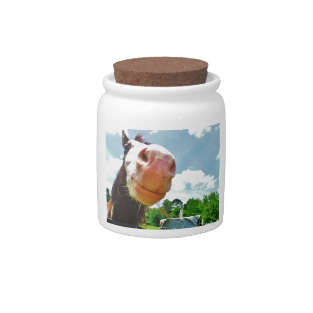 Smiling Horse Candy Jar (Front)