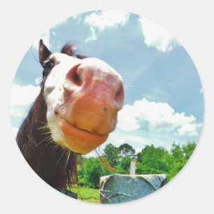 Smiling Horse Classic Round Sticker