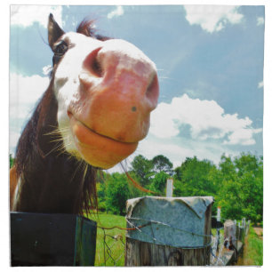 Smiling Horse Cloth Napkin