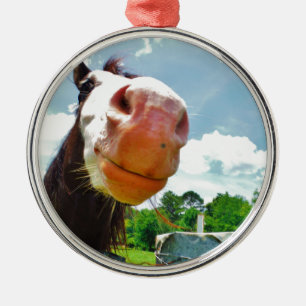 Smiling Horse Metal Ornament