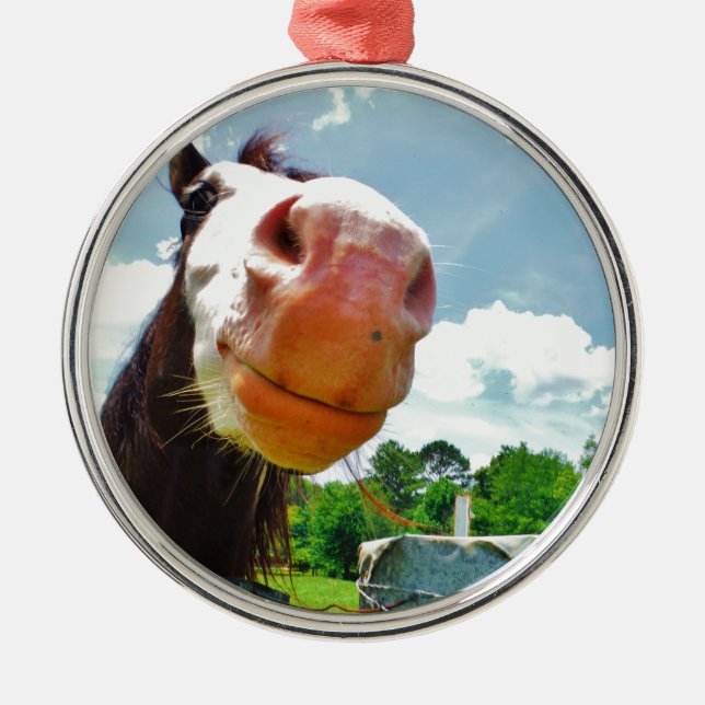Smiling Horse Metal Ornament (Front)
