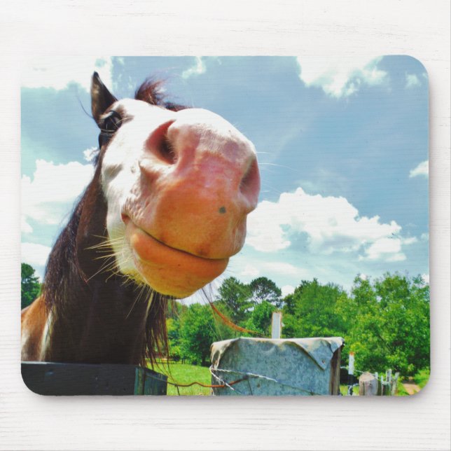 Smiling Horse Mouse Pad (Front)