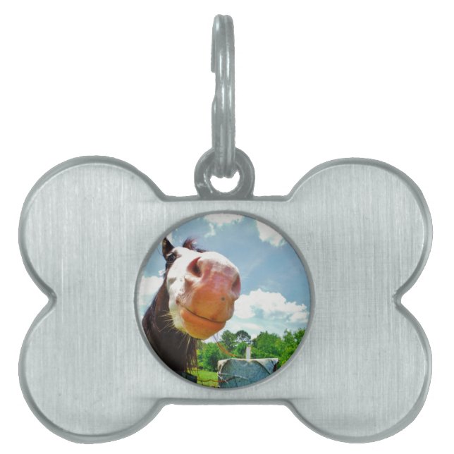Smiling Horse Pet ID Tag (Front)