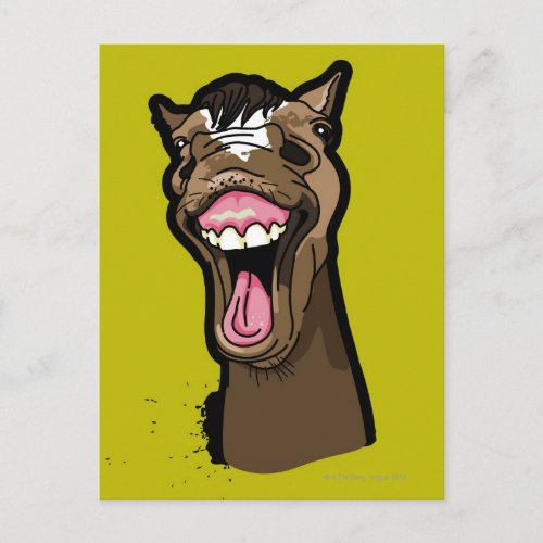 Smiling Horse Postcard