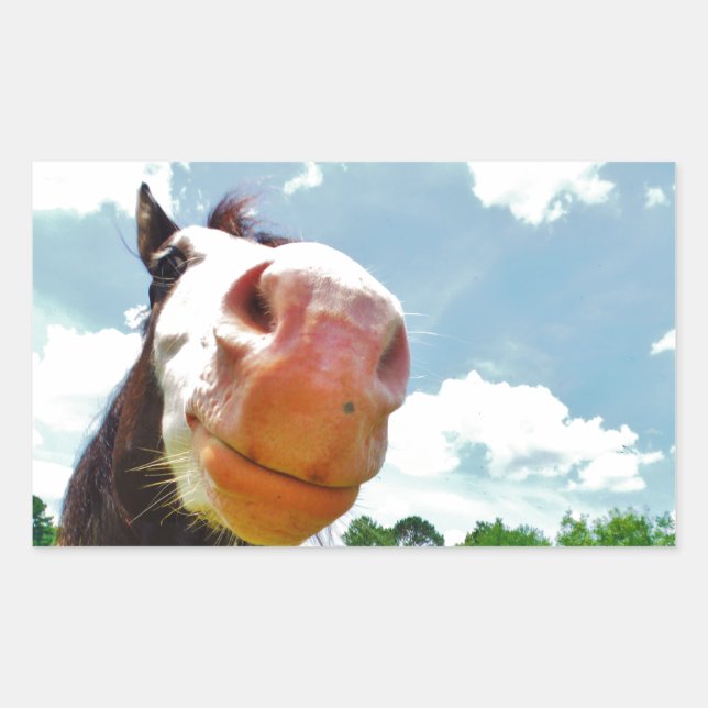 Smiling Horse Rectangular Sticker (Front)