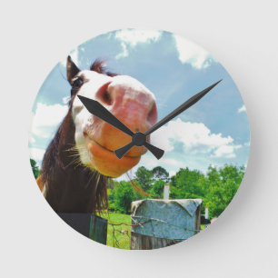 Smiling Horse Round Clock