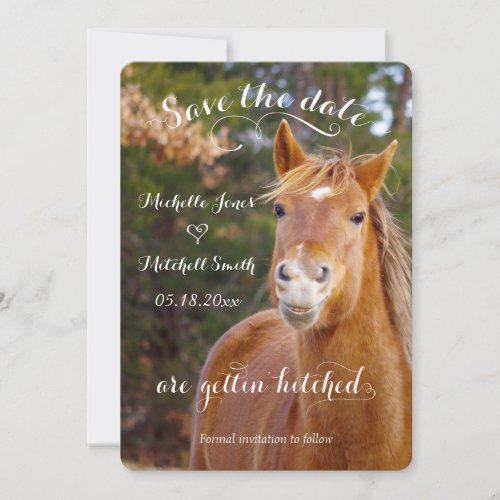 Smiling Horse Save the Date Invitations