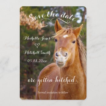 Smiling Horse Save The Date Invitations by Walnut_Creek at Zazzle