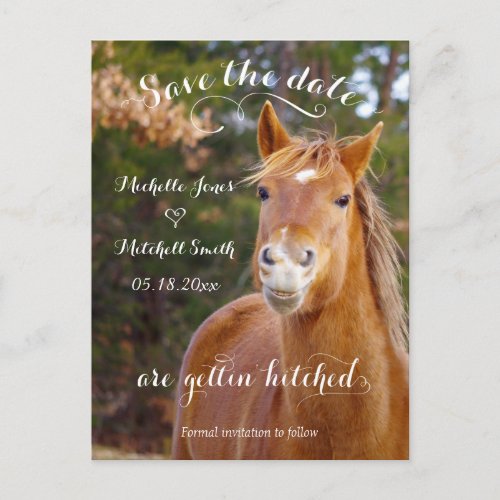 Smiling Horse Save the Date Postcards