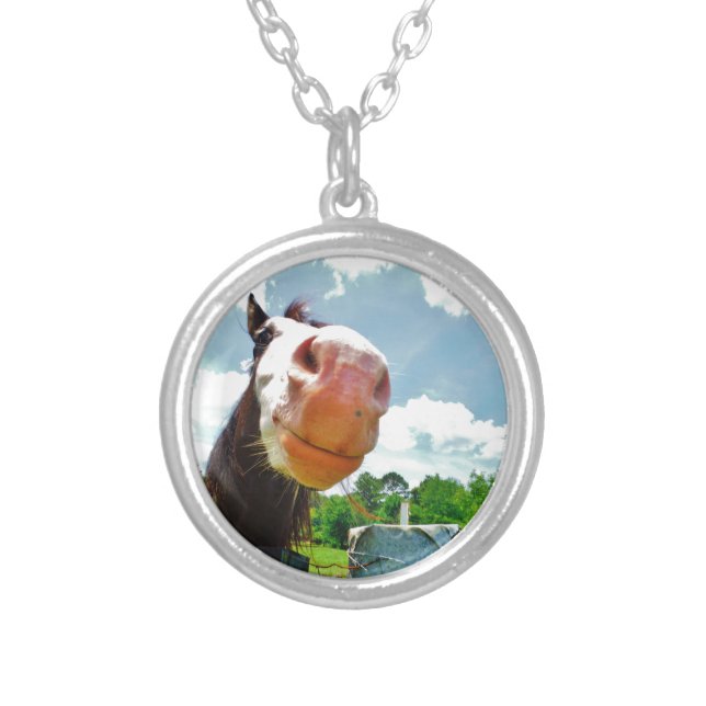 Smiling Horse Silver Plated Necklace (Front)