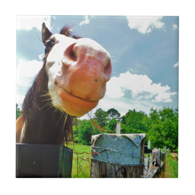 Smiling Horse Tile (Front)