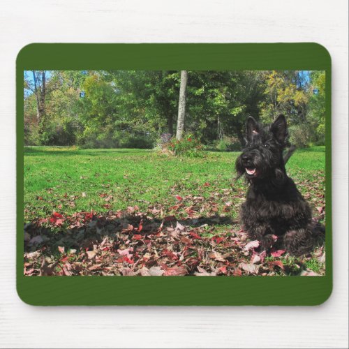 Smiling in the Leaves Mouse Pad