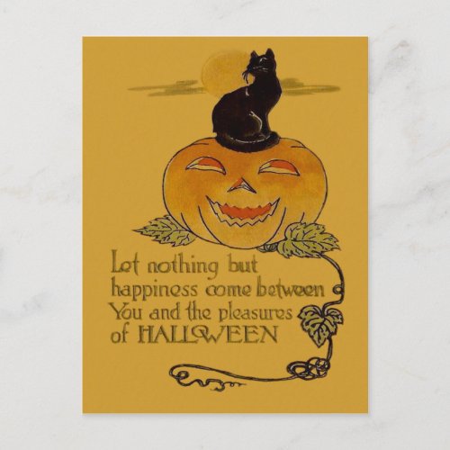 Smiling Jack O Lantern Pumpkin Black Cat Vine Postcard