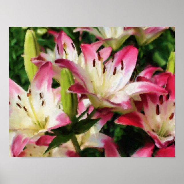 Smiling Lilies Flower Art Photo Painting Poster (Front)