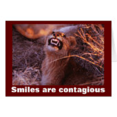 Smiling Lion Cub Smiles are Contagious (Front Horizontal)