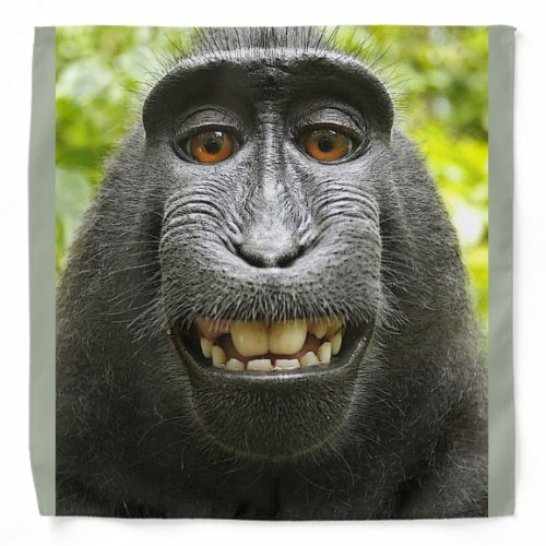 Smiling Monkey Bandana