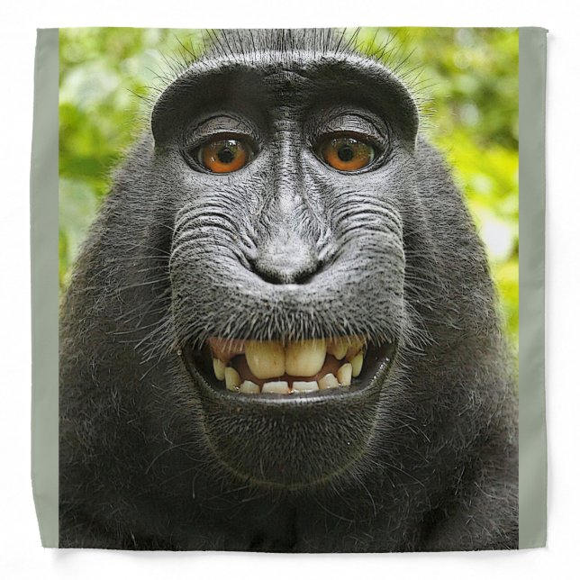 Smiling Monkey Bandana (Front)