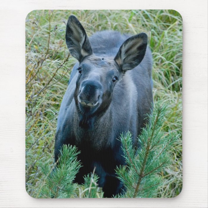 Smiling Moose Mouse Pad