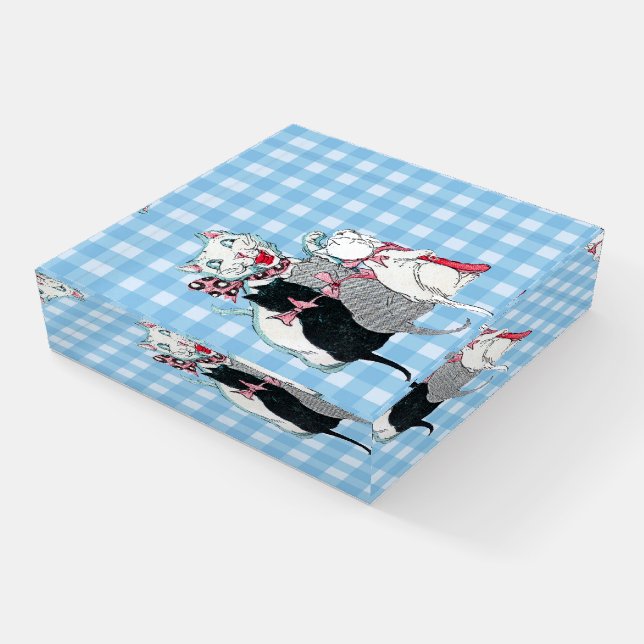 Smiling Mother Cat With Three Kittens on Plaid Paperweight (Angled)