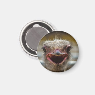 Smiling Ostrich Face Magnet