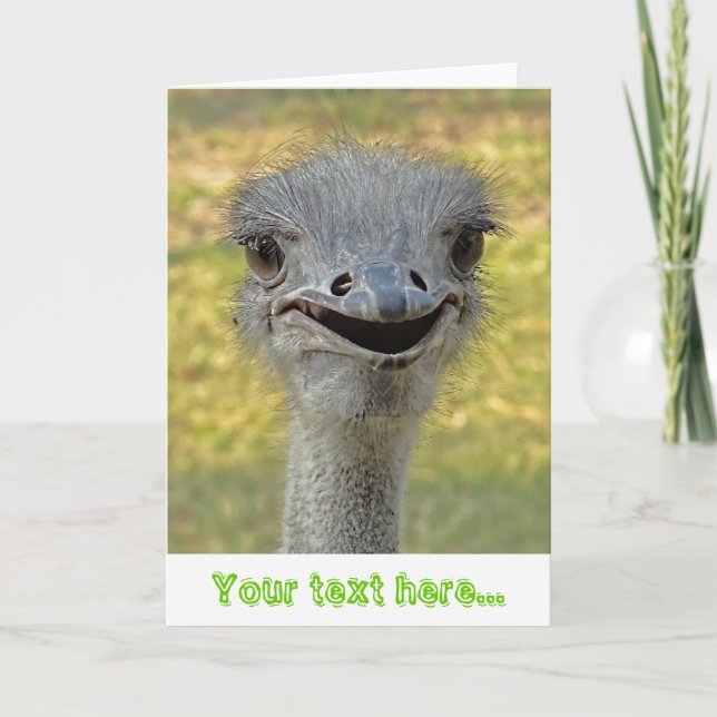 Smiling Ostrich Greeting Card (Front)