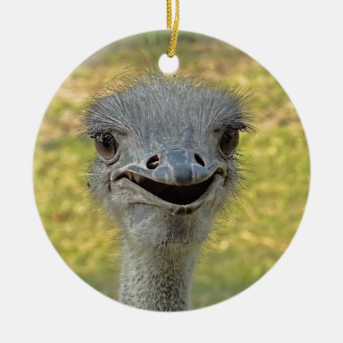 Smiling Ostrich Ornament