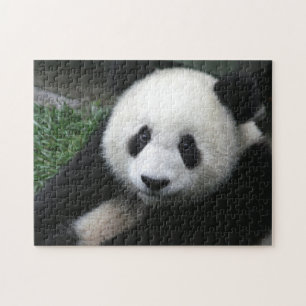 Smiling Panda Bear Jigsaw Puzzle