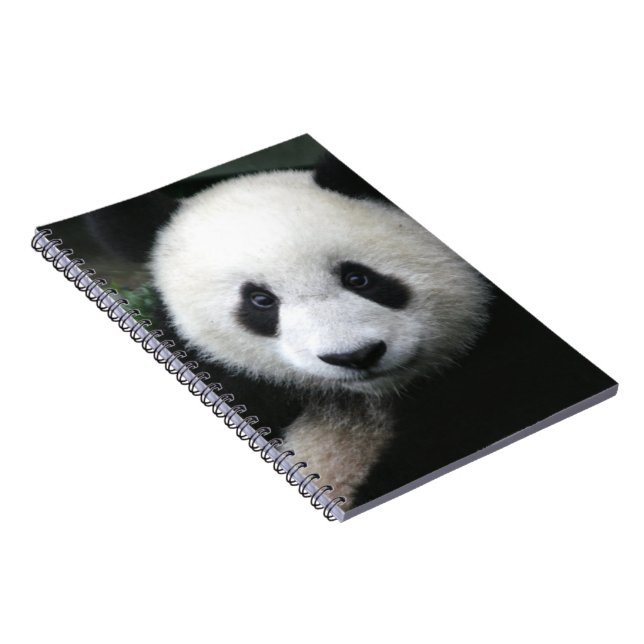 Smiling Panda Bear Notebook (Right Side)