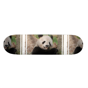 Smiling Panda Bear Skateboard Deck