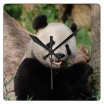 Smiling Panda Bear Square Wall Clock