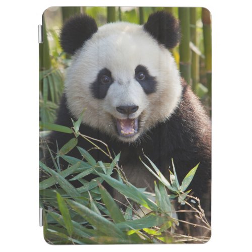 Smiling Panda Portrait iPad Air Cover