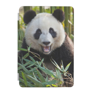 Smiling Panda Portrait iPad Mini Cover