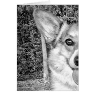 Smiling Pembroke Corgi Cards