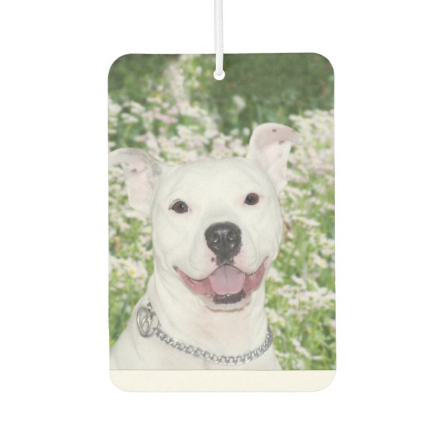 Smiling pitbull air freshener (Front)