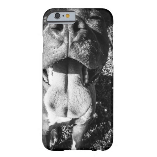 Smiling PitBull Barely There iPhone 6 Case