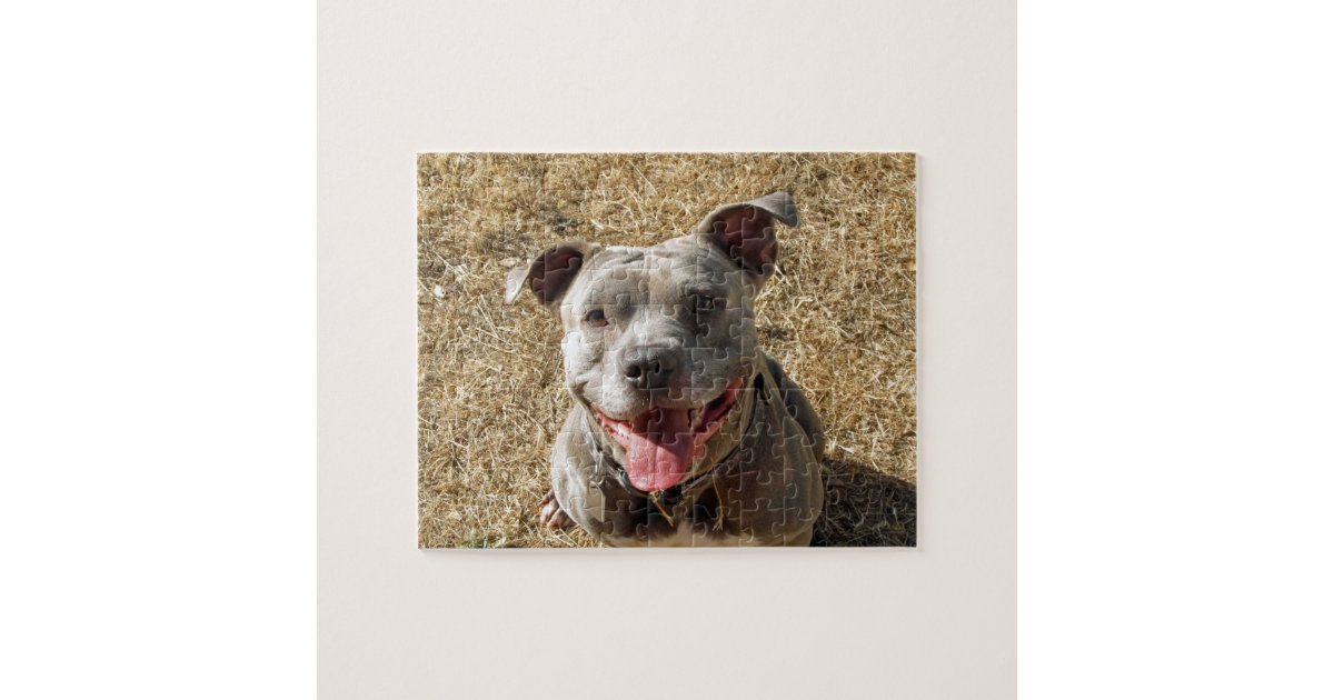 https://rlv.zcache.com/smiling_pitbull_puzzle-rbcd1818e072d449098ff0a73b97e0a74_amb0f_8byvr_630.jpg?view_padding=%5B285%2C0%2C285%2C0%5D