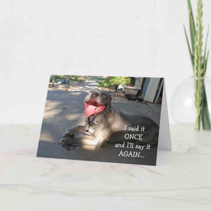 Smiling Pitbull Thank You Card | Zazzle