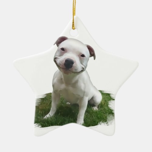 Smiling Pittie Ceramic Ornament