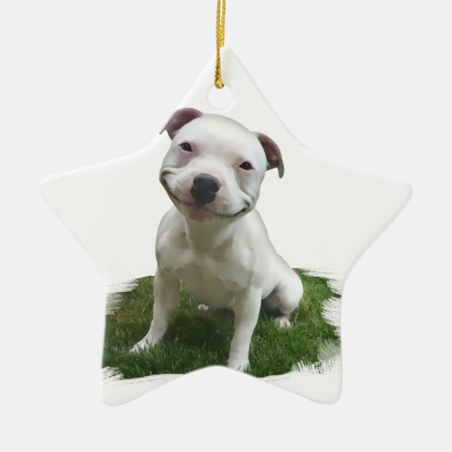 Smiling Pittie Ceramic Ornament (Front)