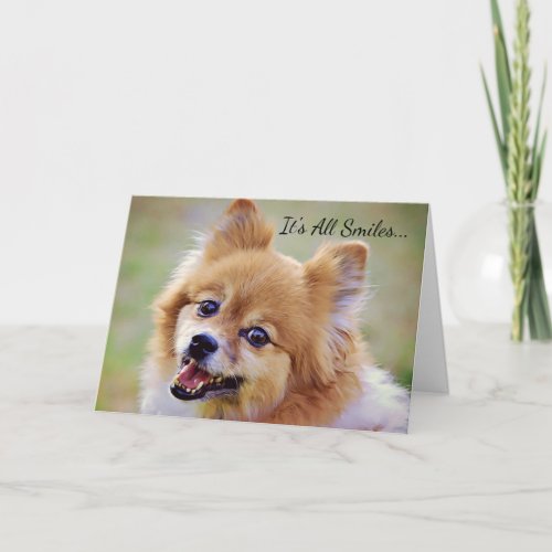 Smiling Pomeranian Birthday Card