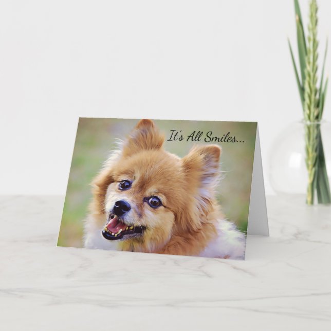 Smiling Pomeranian Birthday Card (Front)
