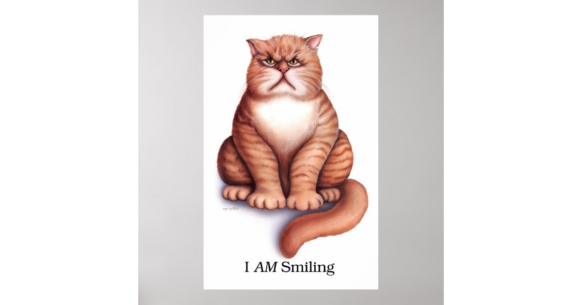 Smiling cat beluga | Poster