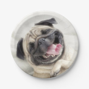 pug paper plates